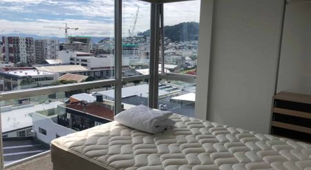 13/2 Torrens Tce - Photo 5