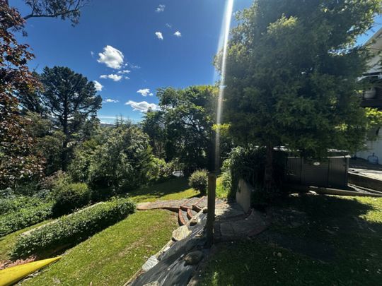 Immaculate inside and out! - Photo 1