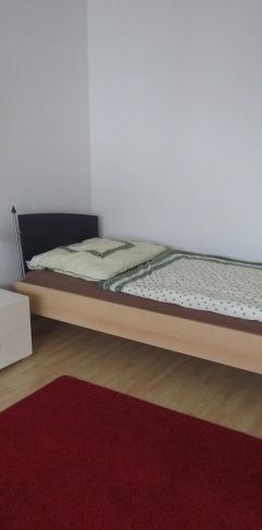Komplett möbliertes Appartement in Dingolfing - Photo 1