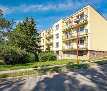 Pronájem kompletně zařízeného bytu 1+1 (39 m - Photo 6