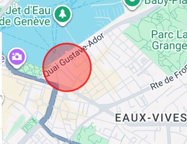 Charmant appartement de 3 pièces – 67 m² – Eaux-Vives / Vue lac - Foto 1