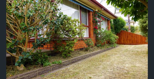 Appealing Elevated Classic Home - Photo 1