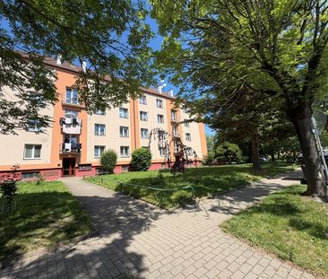 Pronájem bytu 2+1 42 m² - Фото 5