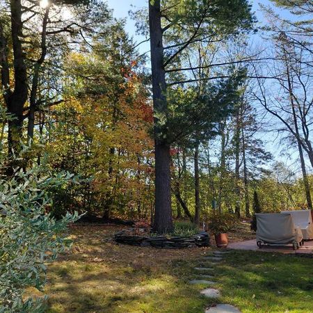 Condo 5.5 pièces secteur Rock Forest disp 1er janv 2026 - Photo 3