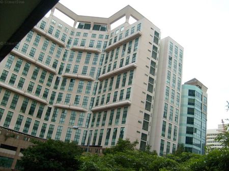 The Bencoolen (D7), Apartment - For Rent - Photo 4
