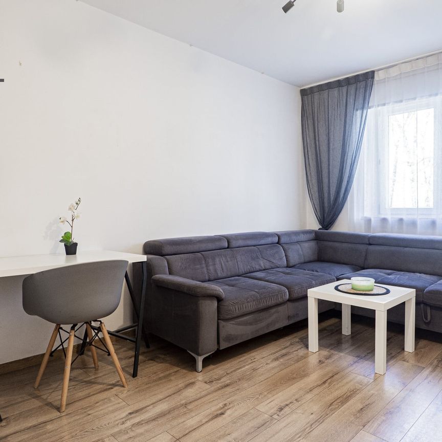 Rozkładowe | 2-pok | Pets Friendly | FAT - Photo 1