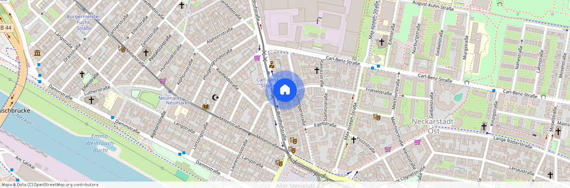 Spelzenstr. 2a, 68167 Mannheim