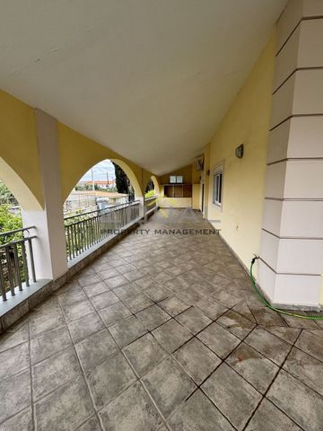 Διαμέρισμα για ενοικίαση Πικέρμι - Φωτογραφία 4