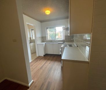 Modern Unit! - Photo 6