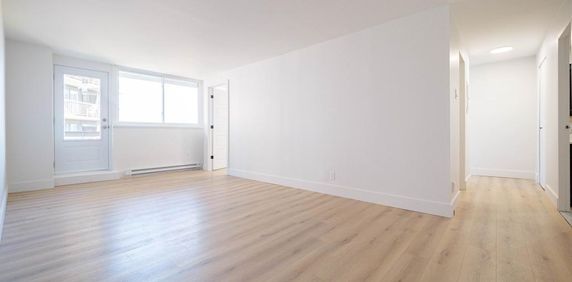 LIBRE - Face au Collège Bois-de-Boulogne Ahuntsic Montreal - appartement/ logement à louer - Photo 2