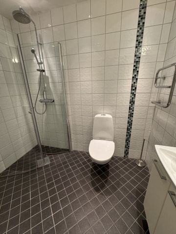 Lilla Södergatan, Lund - Photo 4