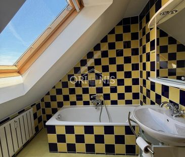 Pronájem bytu 1+1 57 m² - Fotografie 5