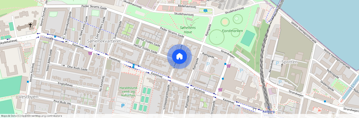 Schleppegrellsgade 72, 3. th. 9000 Aalborg