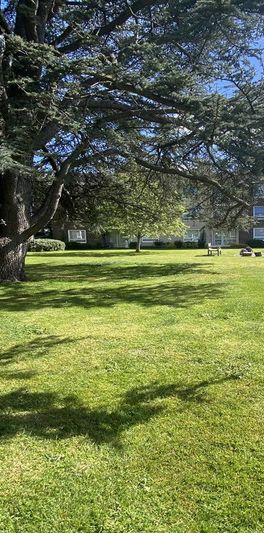 Pevensey Garden, Marine, Worthing - Photo 2