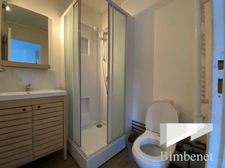 Appartement à louer, 1 pièce - Orléans 45000 - Photo 5