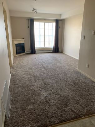Apartment in Timberlea Area -North of the Bridge. - Photo 1
