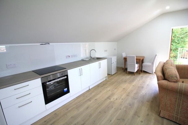 1 bedroom apartment to rent - Photo 1