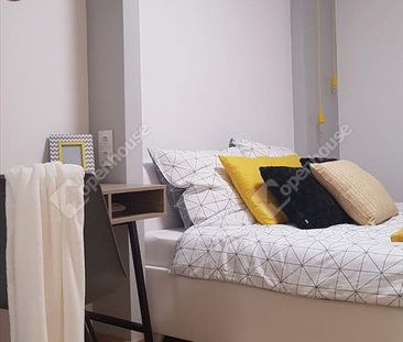 Kiadó jó állapotú ház - Debrecen - Fotó 2
