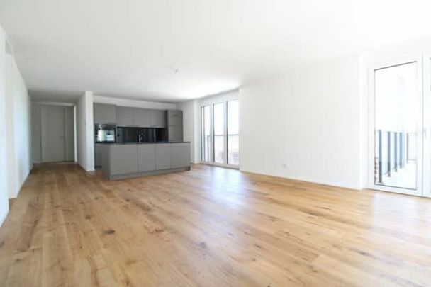 2.5 Zimmer, 58 m², 2. Stock - Foto 1
