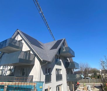 Moderne und helle Mietwohnung in Rickenbach Sulz ZH - Photo 3