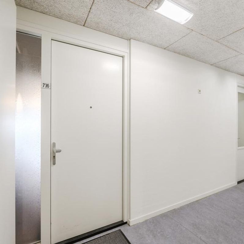 Osdorper Ban 736 - Foto 1