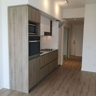 Jarvis St / Gerrard St E Brand New 2Bdrm Natural Light Spacious Livi - Photo 1