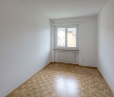 In the countryside - Foto 1