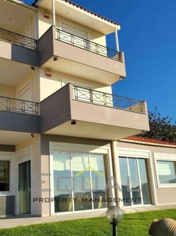 Ενοικίαση κατοικίας, 550 τ.μ., Ανάβυσσος, 5.500 € - Photo 4