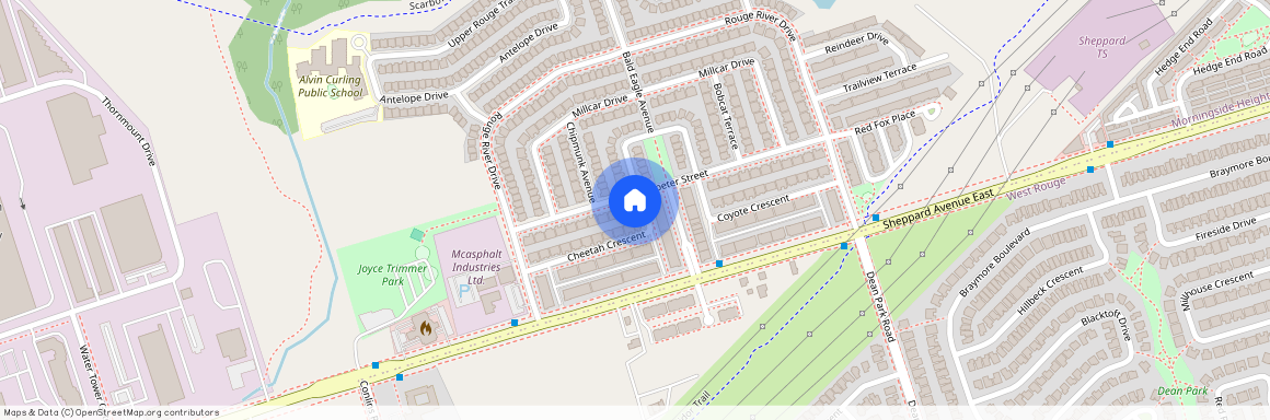 48 Cheetah Crescent, Toronto