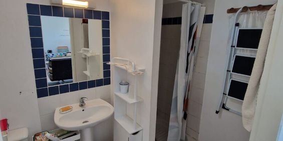 Location appartement 1 pièce, 28.78m², Fort-de-France - Photo 3