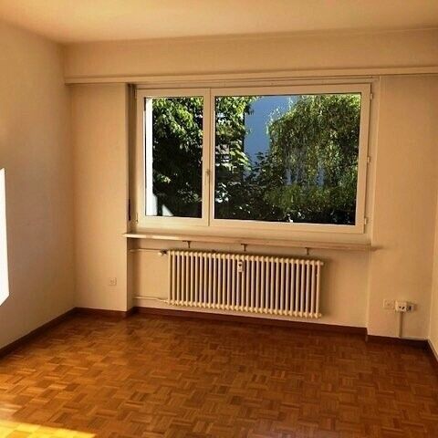 Charming apartment in Allschwil - Photo 1