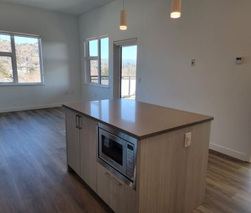 Upscale Corner 1 bdrm + den Condo near Downtown - Photo 5