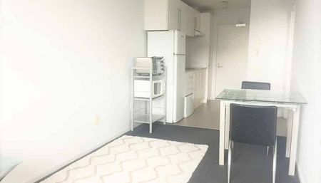 Centrally located Furnished 1 bedroom apartment - Photo 4