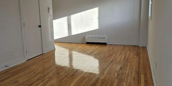 1 CH - 1 SDB - Montréal - $1,495 /mo - Photo 3