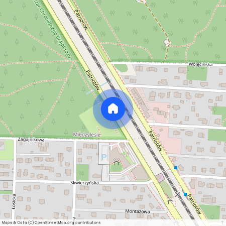 ul. Patriotów, Radość, Wawer, Warszawa, mazowieckie