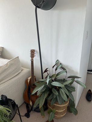 Bondi Beach - Photo 1