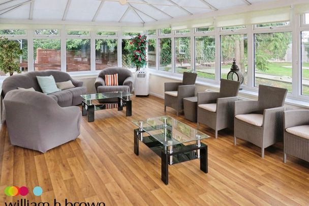 The Street - Photo 1