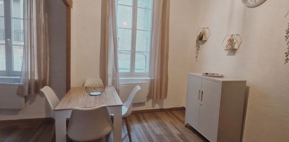 Location Appartement 1 pièce 25m² - Photo 2