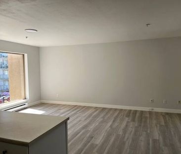 Newly renovated one bedroom in West Kerrisdale - Photo 2