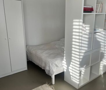 1 Zimmer, 45 m² - Foto 2