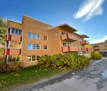 Lyckogränd, Skellefteå - Foto 6