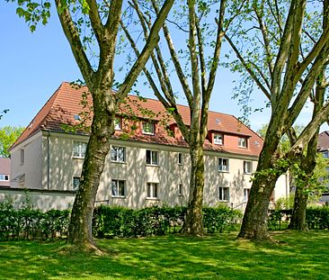 Demnächst frei! 1-Zimmer-Wohnung in Gelsenkirchen Buer - Foto 1