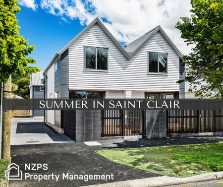 208 A Surrey Street, Saint Clair - Photo 3
