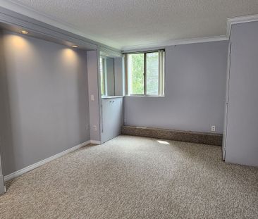 For Lease - 570 Proudfoot Lane Unit# 309, London North, Ontario - Photo 4
