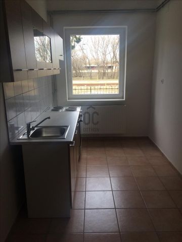 Kiadó új építésű lakás - Tatabánya - Photo 3