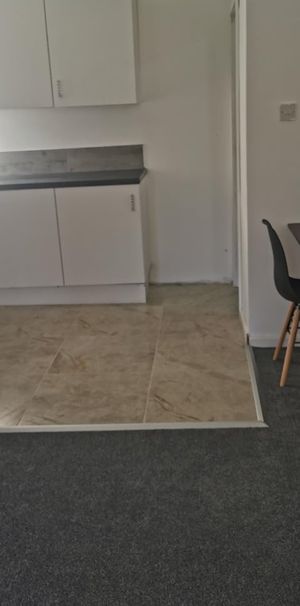 Studio Flat, Edgbaston, B16 - Photo 1