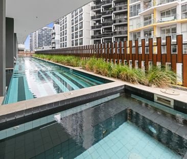 202/50 Claremont Street, South Yarra VIC 3141 - Apartment For Rent ... - Photo 6