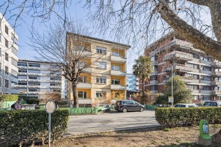 Nel cuore di Massagno - Foto 4