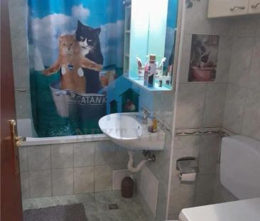 Apartament 1 camera, Calea Dorobantilor - Fotografie 5