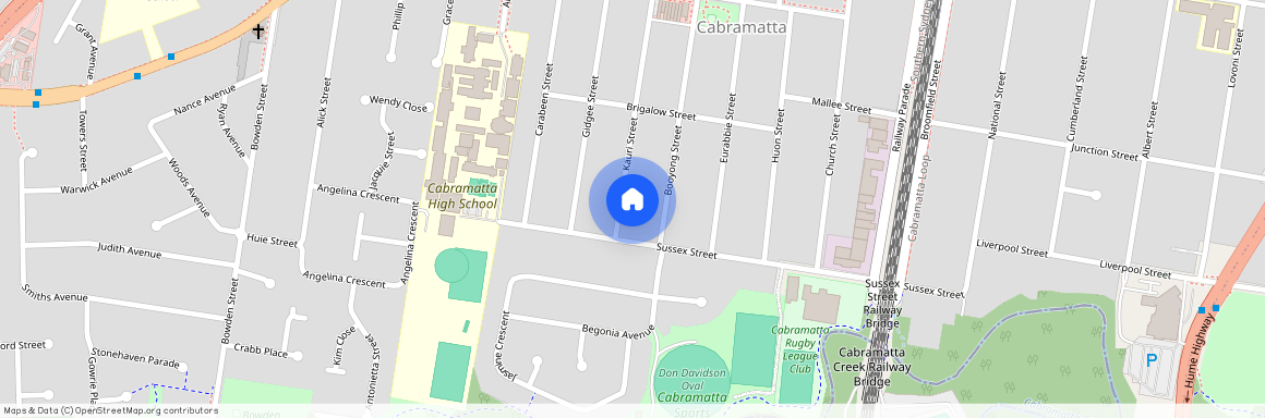 46a Kauri Street, NSW 2166, Cabramatta